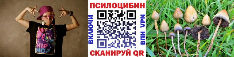 наркошоп  Енисейск  Галлюциногенные грибы Psilocybe 
