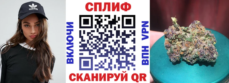 где продают   Енисейск  МАРИХУАНА индика 